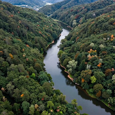 Aerial River Valley Forest