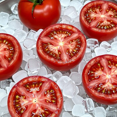 Fresh Tomatoes on Ice