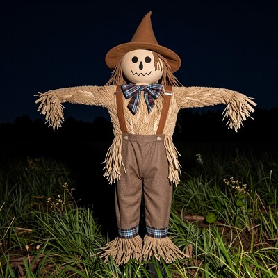 Scarecrow in Field at Night