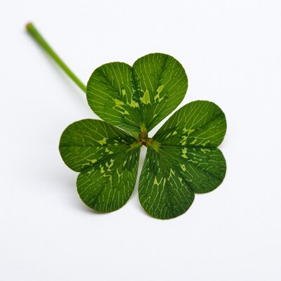 Four Leaf Clover