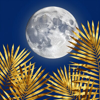 Golden Palm Leaves Full Moon