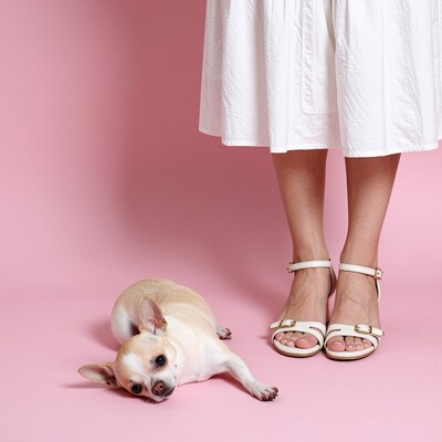 Woman with Chihuahua dog