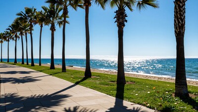Palm Trees Beach Promenade
