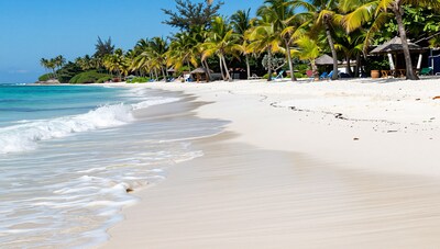 Tropical Beach Paradise