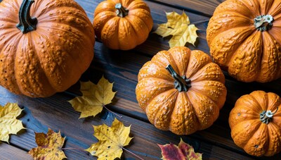 Autumn Pumpkins on Wooden Table