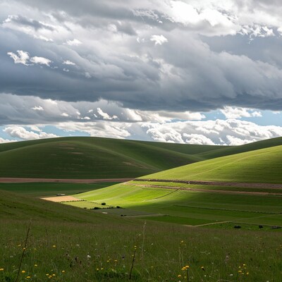 Rolling Green Hills Landscape