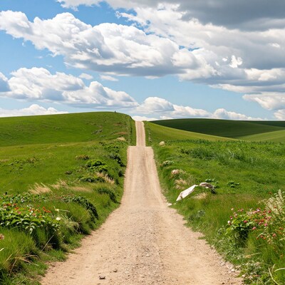 Dirt road through green hills