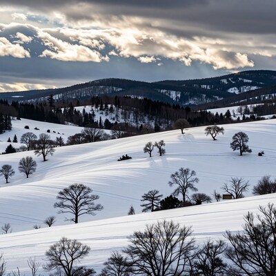 Snowy Winter Hills Landscape