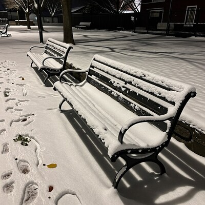 Snow Covered Park Benches