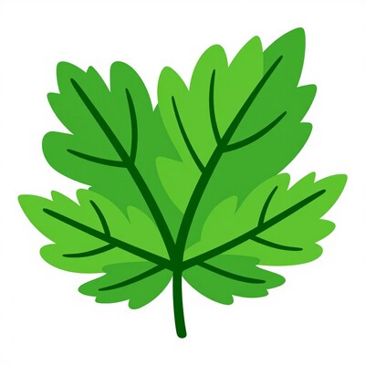 Green Parsley Leaf
