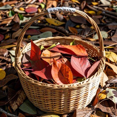 Wicker basket with autumn leaves