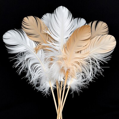 White and Beige Ostrich Feathers