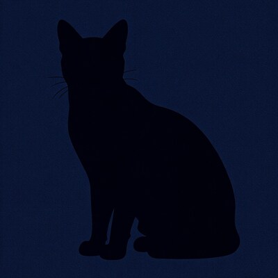 Black cat silhouette