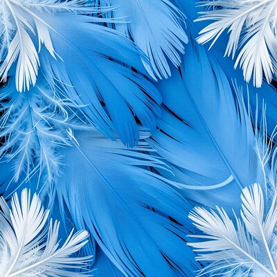 Blue and White Feathers