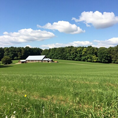 Rural Farm Barn in Green Field