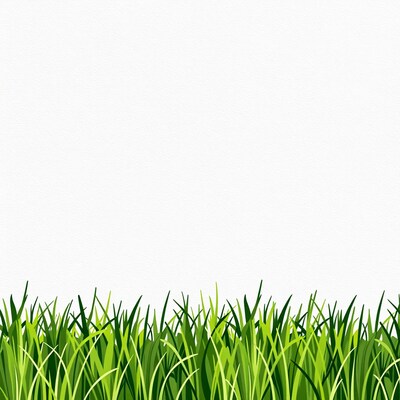 Green Grass Border