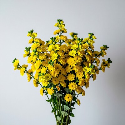 Yellow Chrysanthemum Bouquet