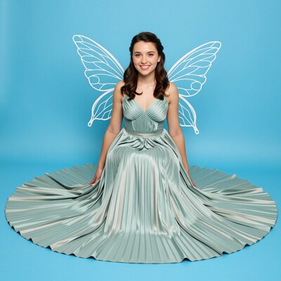 Woman in Fairy Wings Dress