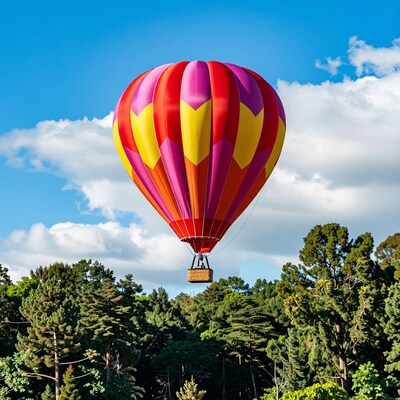 Colorful Hot Air Balloon
