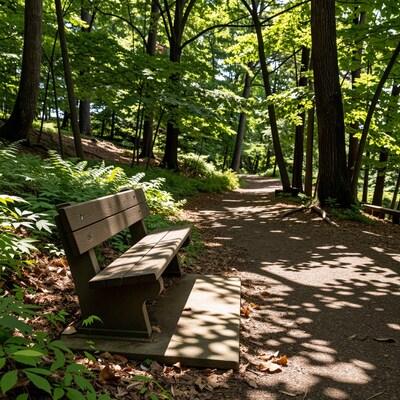 Forest Park Bench