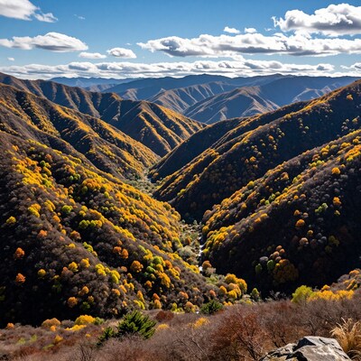 Autumn Mountain Valley Landscape