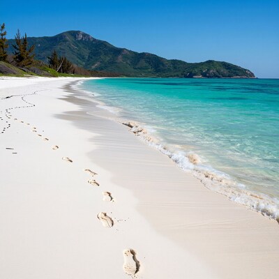 Tropical Beach Footprints