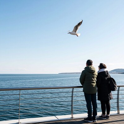 Couple watching seagull over sea