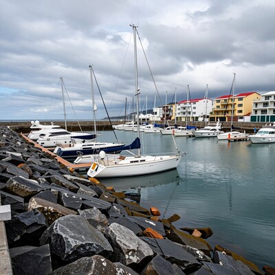 Sailboats in harbor