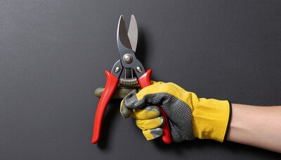 Gloved hand holding pruning shears