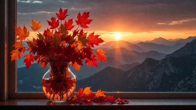 Autumn Maple Leaves Sunset