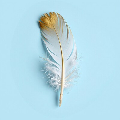 Golden White Feather
