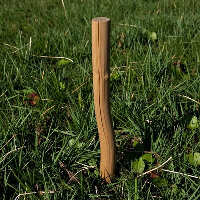 Wooden post in grass