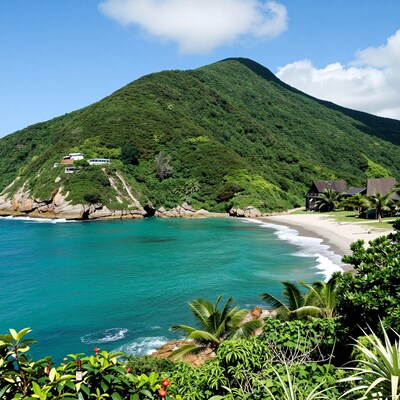 Tropical Beach and Mountain