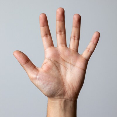 Human hand palm up