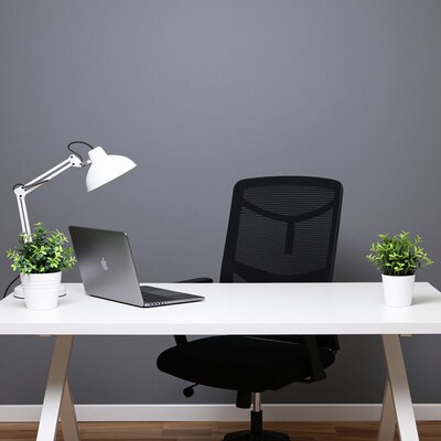 Modern Office Desk Setup