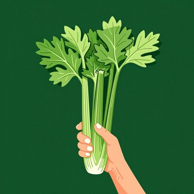 Hand holding celery