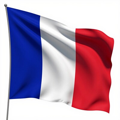 Waving French Flag