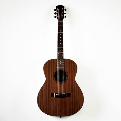 Acoustic Guitar