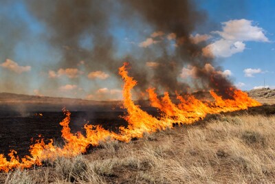 Wildfire Burning Grassland